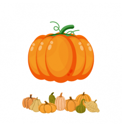 Citrouille décorative