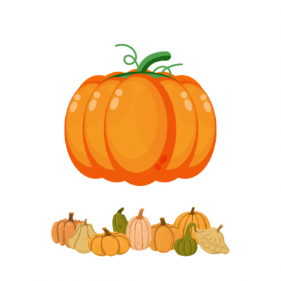Citrouille décorative