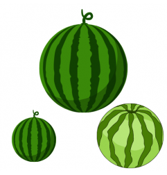 Melon d'eau / LBS