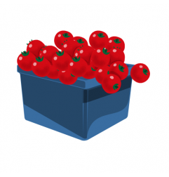 Tomate cerise