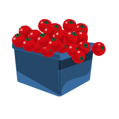 Tomate cerise
