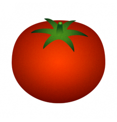 Tomate Ronde