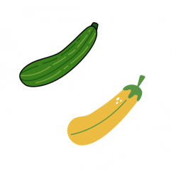 Zucchini