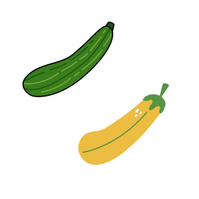 Zucchini